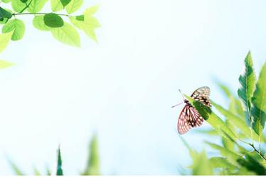 取名字大全2017最新版4