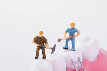 猕猴的邻居的故事1 猕猴的邻居的故事1