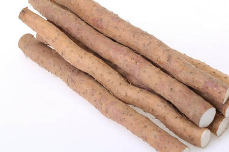 春季开学典礼活动方案6