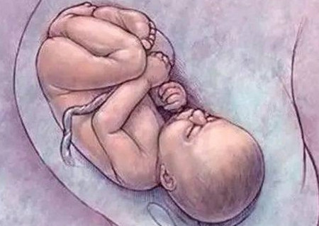 孕妇竟然能听到胎儿的哭声?太神奇!