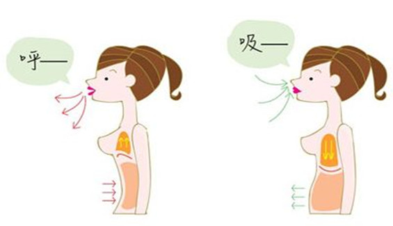 孕早期瑜伽—腹式呼吸