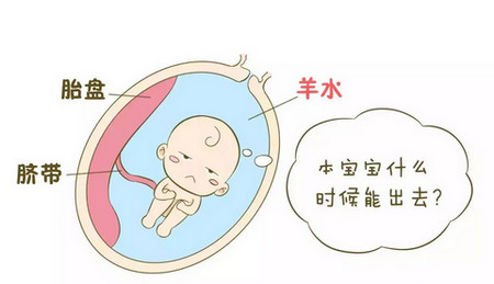 羊水尿液傻傻分不清？别都破水了还以为是尿频