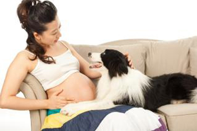 孕妇被狗抓伤 接种狂犬疫苗会不会影响胎儿？
