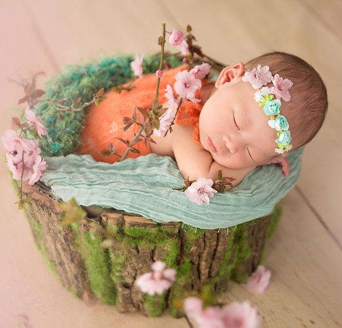 12天宝宝图片 树墩上的小萌娃