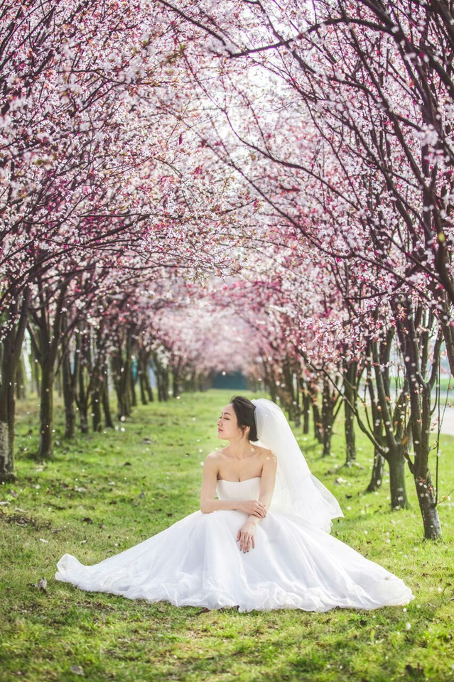 粉色的樱花虾，穿着婚纱的女子跟着自己的爱人，连背影都是像童话般唯美。美丽的风景，美好的爱情!如此粉嫩清新美好的画面，你为之动容了么?小编我是看得很感动啊~~