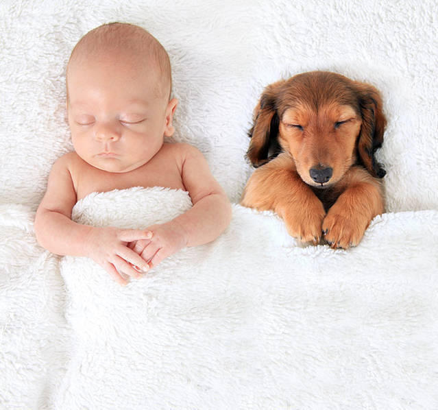 宝宝跟宠物入睡图片 画面无比的温馨