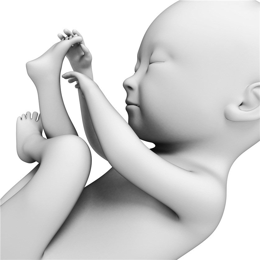 胎儿黑白插画图片
