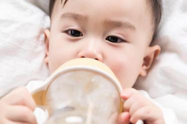 2017年婴幼儿奶粉销量排行榜