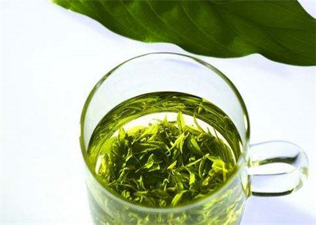 湿气重可以喝绿茶吗