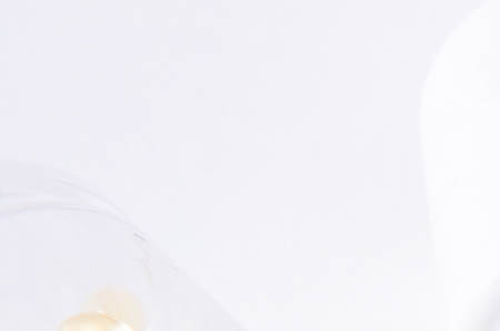 水芹菜怎么做好吃