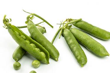 松发骨瓷：忆起江南时，共饮一杯清茶否？
