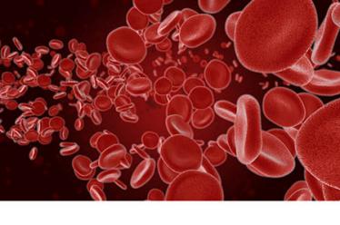 幼儿园文具安全教案3