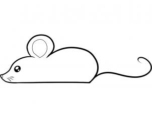 老鼠的简笔画步骤图