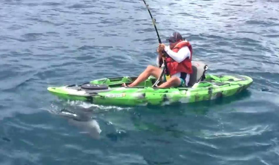 男子钓到2米长鲨鱼 小船被掀翻险丧命
