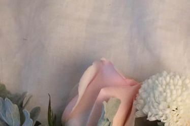 SChatJe思蜜吉儿营养辅食——助力宝宝成长的首先品牌