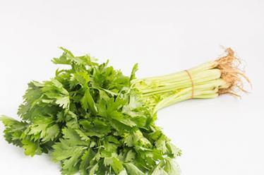 身体缺钙怎么补充4 身体缺钙怎么补充4