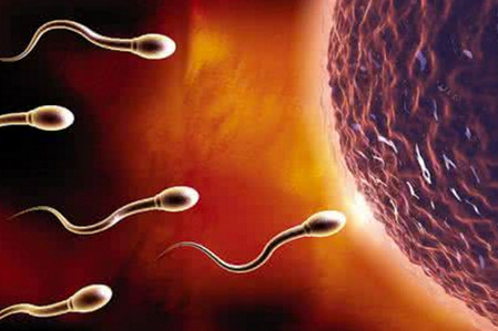 弱精、少精、无精……精子出现异常还能好孕吗？