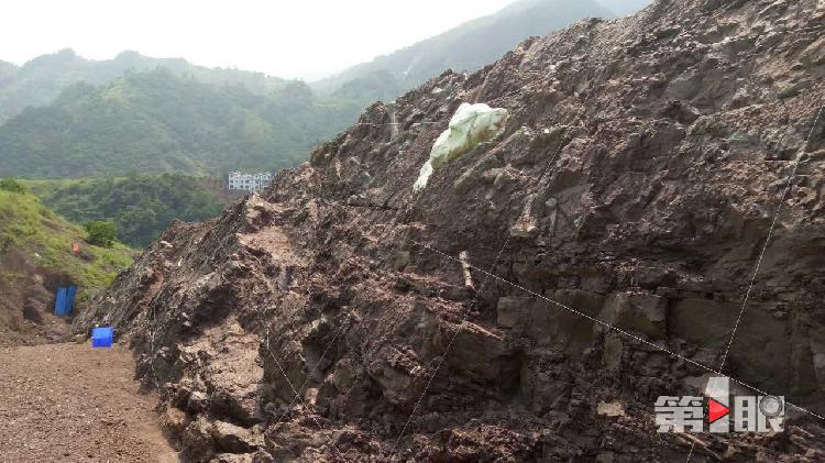重庆发现长150米的世界级“恐龙化石墙”