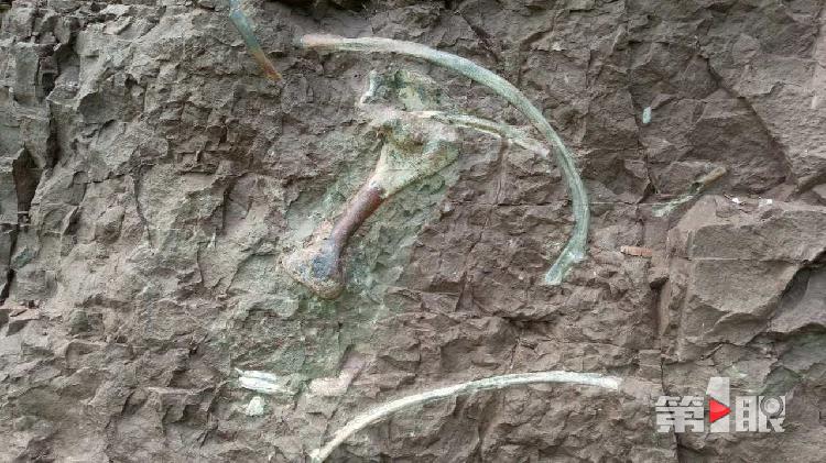 重庆发现长150米的世界级“恐龙化石墙”