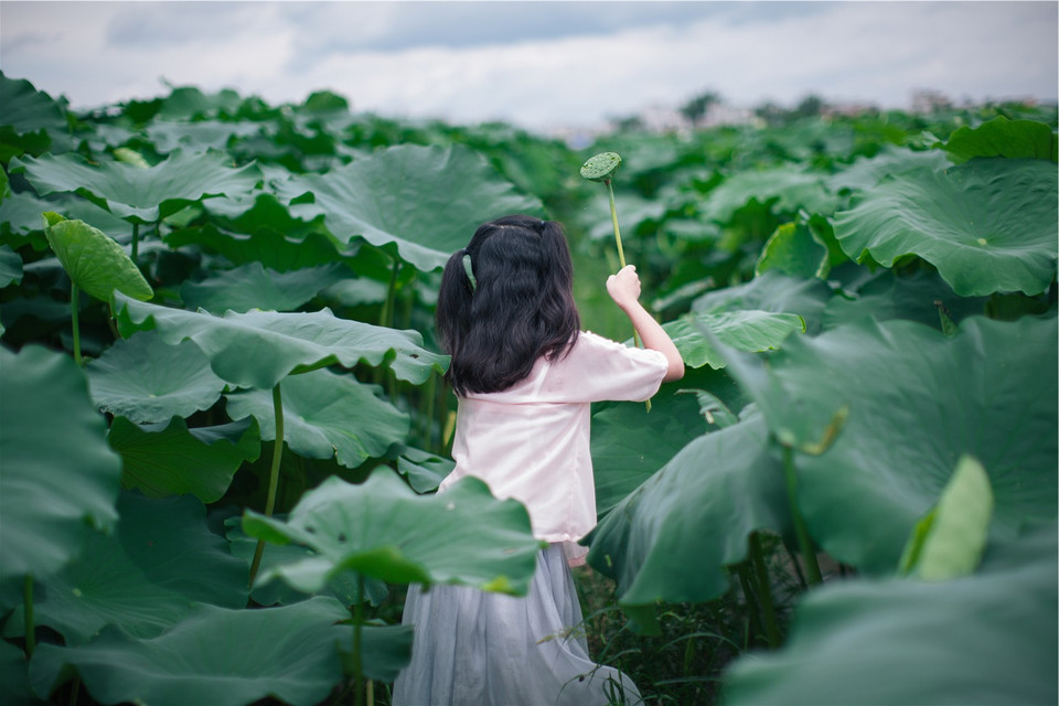 甜美可爱小女孩荷叶池写真图片