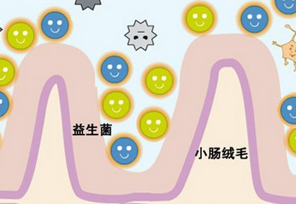 康萃乐益生菌提高宝宝免疫力  不怕梅雨季细菌侵袭