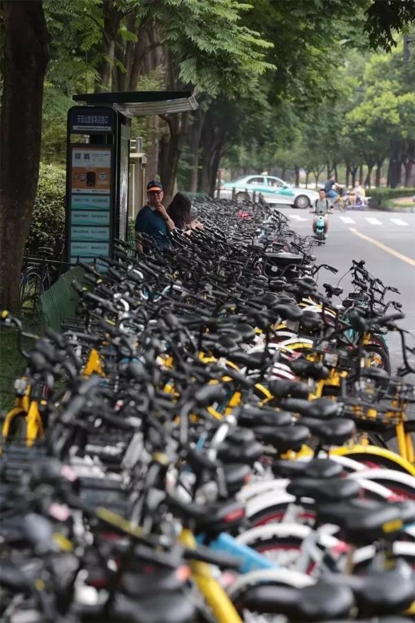 杭州一公交车站被共享单车包围