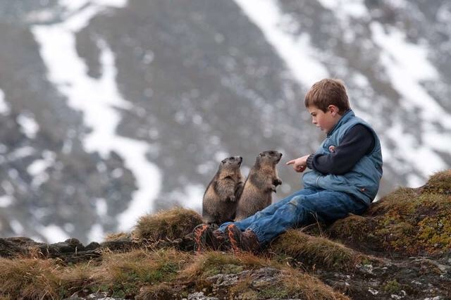 瑞士男孩与土拔鼠的奇妙缘分 画面很暖心