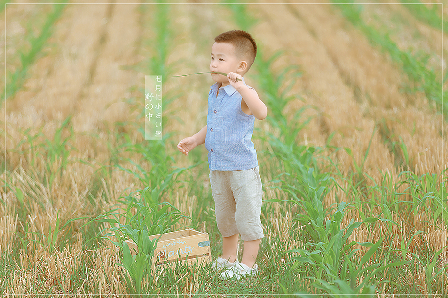 小男孩田野间清新风格写真