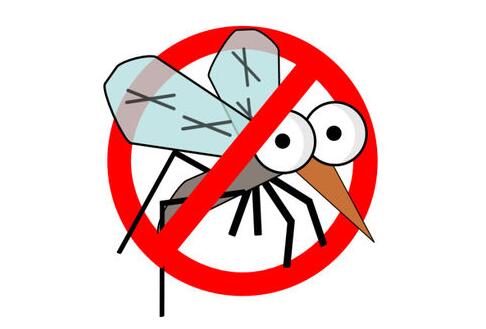 宝宝使用驱蚊产品的隐患有哪些 这些驱蚊用品孩子不能随便用