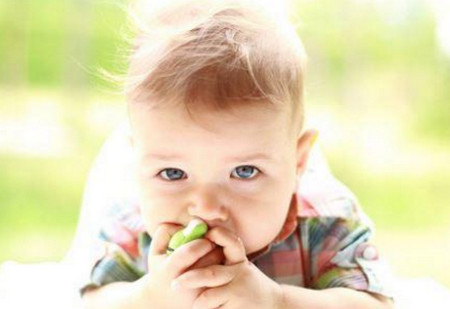 十个月的宝宝吃什么 十个月宝宝的多款营养食谱推荐
