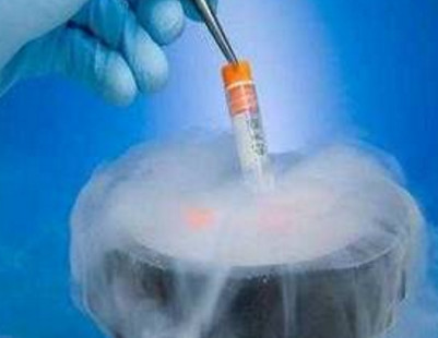 试管婴儿冻胚移植有什么作用呢？