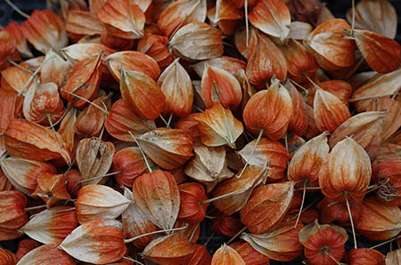 孕妇可以用狐臭药吗