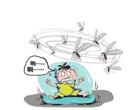 蚊子为什么这么可怕？靠谱的驱蚊产品是哪些？