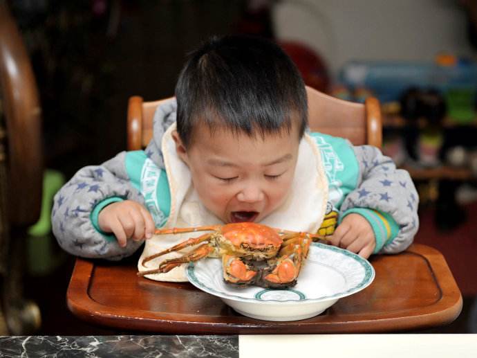 宝宝可以吃大闸蟹吗 秋风凉，蟹脚痒，宝宝能吃螃蟹吗