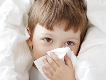 香港流感已致300多人死亡！有关流感的知识你都了解吗？