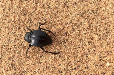 怎么带宝宝才是最好的 要娃少生病就要这样带8