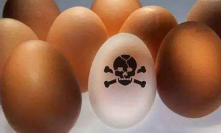 欧洲“毒鸡蛋”是怎么回事？四步教你安心吃鸡蛋