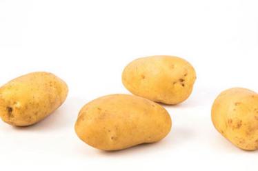 飞鹤奶粉一箱几罐