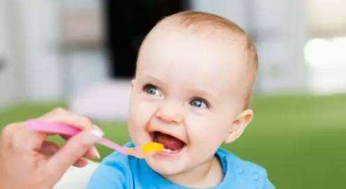 宝宝辅食果泥的做法 适合秋天给宝宝吃的果泥食谱
