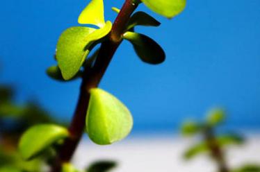 秋季预防感冒按摩什么穴位 经常这样做，防患于未然