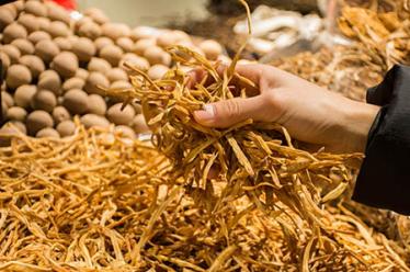 缺钙不益健康 朗迪碳酸钙d3片提醒莫错过补钙黄金期