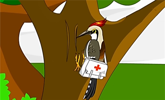 树木的好医生啄木鸟