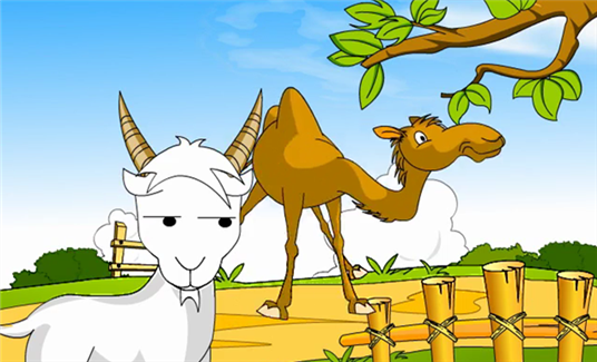 骆驼和羊的故事