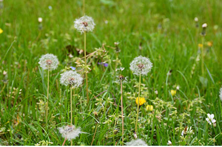 德璞医疗在全国近20家医院推进母乳喂养 首个“母爱十平方”在南通和美家揭牌