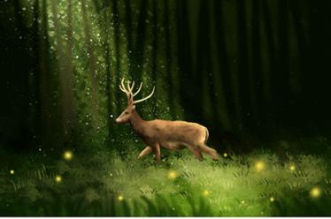 鸽子的折纸步骤图解