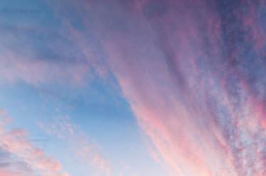 鸽子的折纸步骤图解