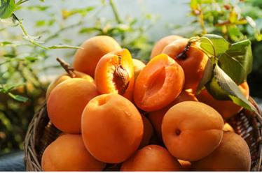 美赞臣奶粉安全吗？CFDA证书有多高的含金量？