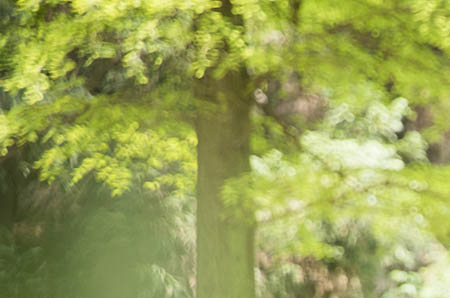 产后怎么补钙 新妈妈补钙策略大推荐5