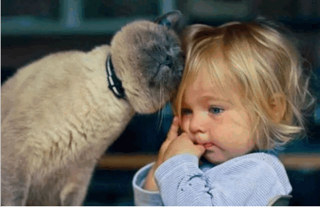 当你的宠物在和宝宝湿漉漉地热吻，你会做什么？