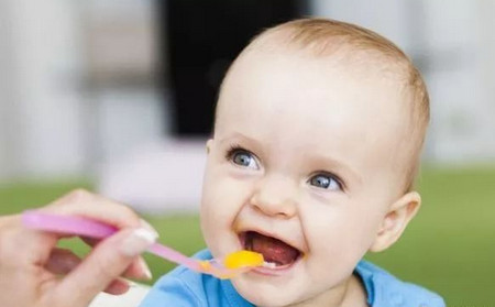 家长别忽视宝宝味蕾发育，健康辅食来辅助！